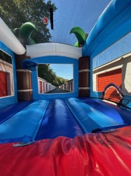 image0 1772669368 Shark Combo